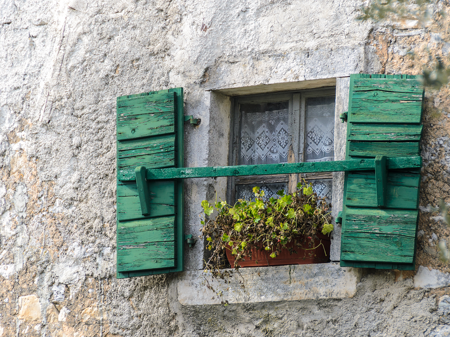 detail shot of a window with a green windowsill and a flower pot