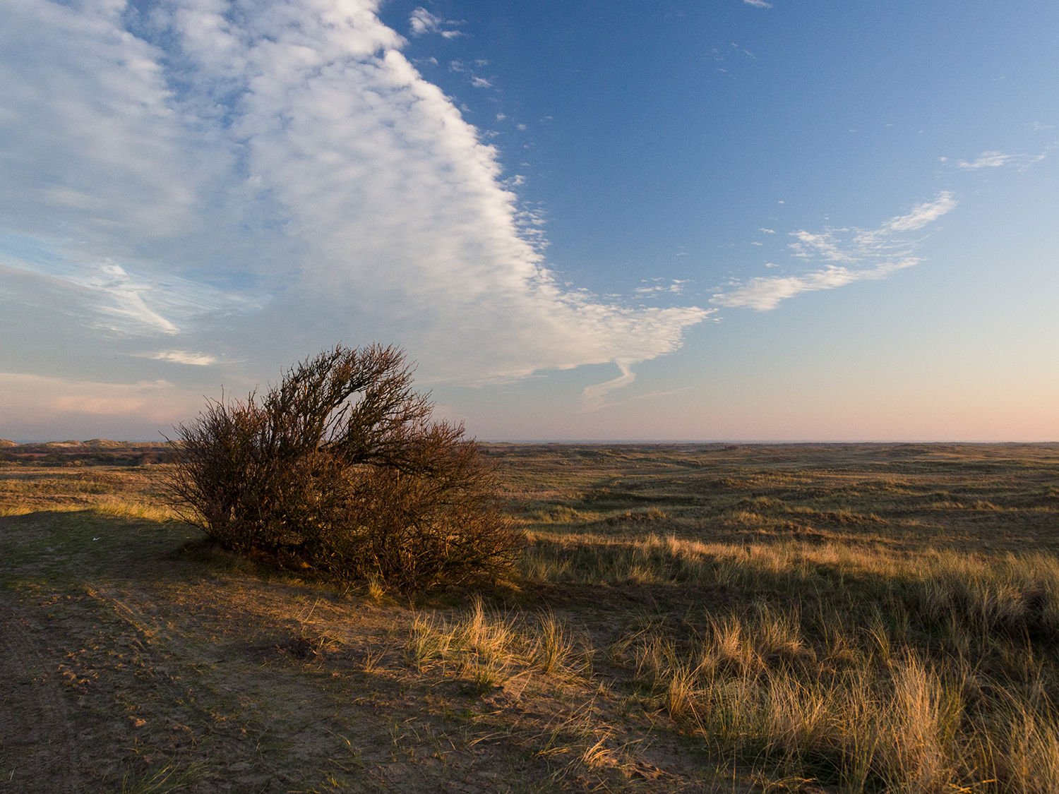 early morning landscape photo